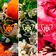 Kit Coffret Aqua Allegoria Mandarine Basilic Forte  Eau de Parfum Feminino